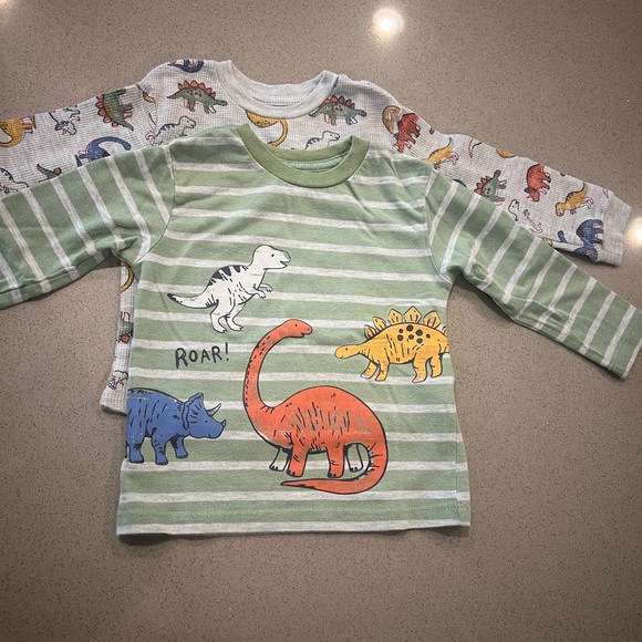 Long sleeve dinosaur tee shirt - Picture 1 of 6